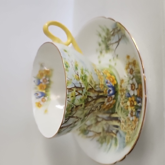 Shelley Bonę China, Daffodil Time Cup and Saucer, very rare collectible - Picture 6 of 8